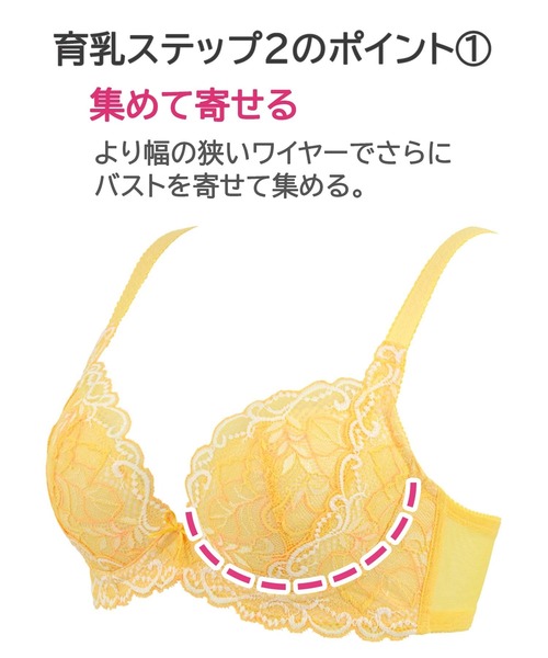 BRADELIS NEWYORK(ブラデリスニューヨーク)の「ブラデリス ベルステップ2ブラ22S1 育乳補正 補整(ブラジャー・レディース・コーラル/イエロー/ブルー・C70/D70/D65/B70/B75/D75/E75/C65/C75/F70/G75/F75/E70/G65/F65/G70/E65)」の5枚目の写真