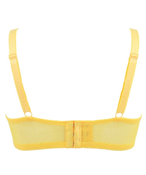 BRADELIS NEWYORK(ブラデリスニューヨーク)の「ブラデリス ベルステップ2ブラ22S1 育乳補正 補整(ブラジャー・レディース・コーラル/イエロー/ブルー・C70/D70/D65/B70/B75/D75/E75/C65/C75/F70/G75/F75/E70/G65/F65/G70/E65)」の18枚目の写真
