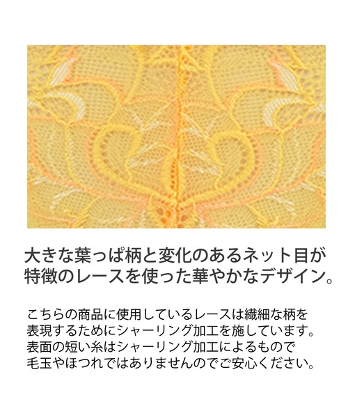 BRADELIS NEWYORK(ブラデリスニューヨーク)の「ブラデリス ベルステップ2ブラ22S1 育乳補正 補整(ブラジャー・レディース・コーラル/イエロー/ブルー・C70/D70/D65/B70/B75/D75/E75/C65/C75/F70/G75/F75/E70/G65/F65/G70/E65)」の13枚目の写真