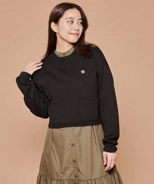 Arnold Palmer（アーノルドパーマー）の「クロップド ニット × シャツ ワンピース レイヤード セット（ワンピース・レディース・ダークグレー/ネイビー/ブラック・L/S/M）」の2枚目の写真