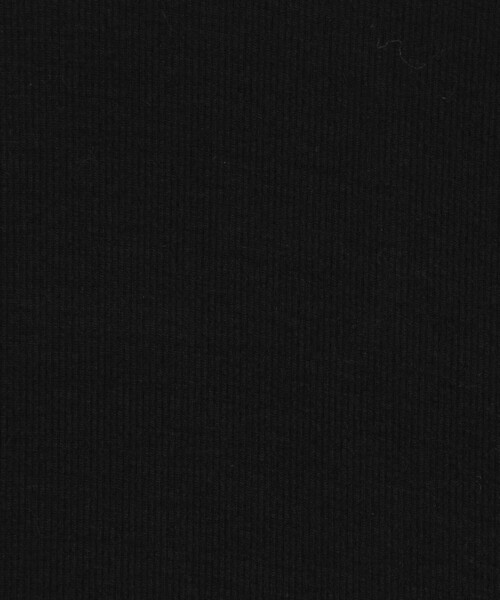 GALERIE VIE(ギャルリー ヴィー)の「レーヨンカシミヤジャージー ハイネックプルオーバー(Tシャツ/カットソー・レディース・チャコールグレー/ブラック/ライトグレー/ホワイト/ライトベージュ・FREE)」の17枚目の写真