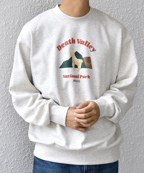 SHIPS any（シップス エニィ）の「【WEB限定】SHIPS any: NATIONAL PARK プリント スウェット 25AW(ユニセックス)◇（スウェット・メンズ・ブラック/ホワイト/ホワイト系/チャコールグレー・SMALL/MEDIUM/LARGE）」の18枚目の写真