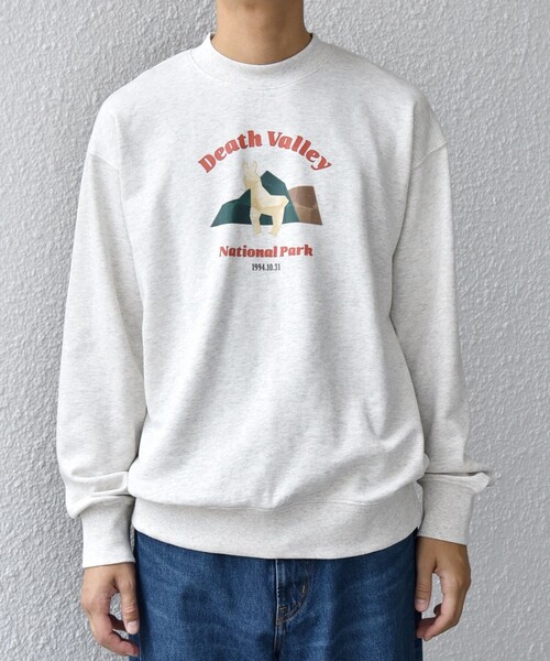 SHIPS any（シップス エニィ）の「【WEB限定】SHIPS any: NATIONAL PARK プリント スウェット 25AW(ユニセックス)◇（スウェット・メンズ・ブラック/ホワイト/ホワイト系/チャコールグレー・SMALL/MEDIUM/LARGE）」の19枚目の写真