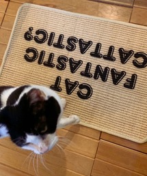 N+Ecology（ネコロジー）の「【N＋Ecology ネコロジー】CATTASTIC 爪とぎマット（ラグ/マット）」
