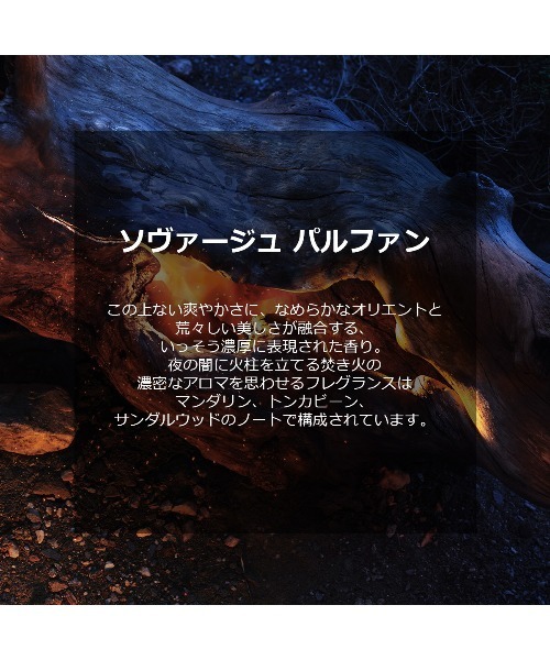 Dior(ディオール)の「ソヴァージュ パルファン(100mL)(香水・メンズ・ナシ・FREE)」の4枚目の写真