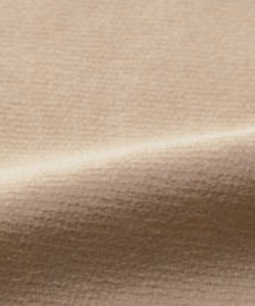 RANAN（ラナン）の「＜裏起毛＞コード刺しゅう使いプルオーバー（Tシャツ/カットソー・レディース・グレイッシュベージュ/ブルーパープル/チャコール/ブラック・M/LL/L）」の16枚目の写真