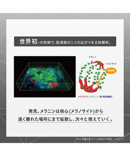 ONE BY KOSE(ワンバイコーセ―)の「医薬部外品 / メラノショット W (レギュラー) 美白美容液(美容液/オイル/クリーム・レディース・その他・FREE)」の4枚目の写真