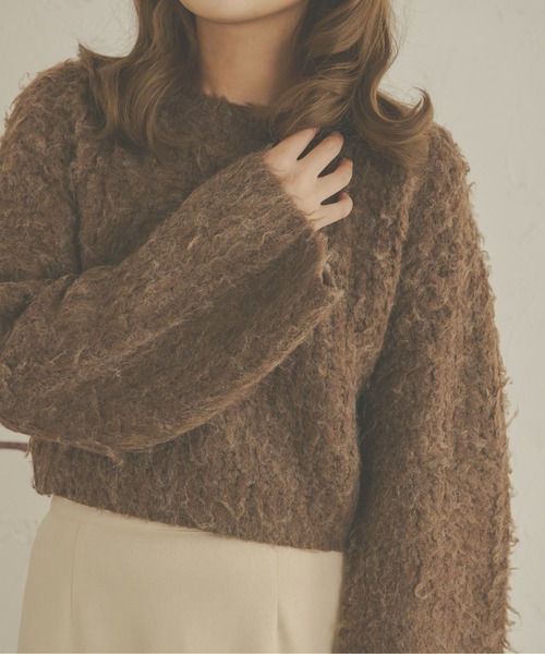Ambre Neige(アンブルネージュ)の「メランジシャギーフレアニット/【WEB/EC限定商品】(ニット/セーター・レディース・ダークブラウン/ライトグリーン/アイボリー/ライトブラウン・FREE)」の11枚目の写真