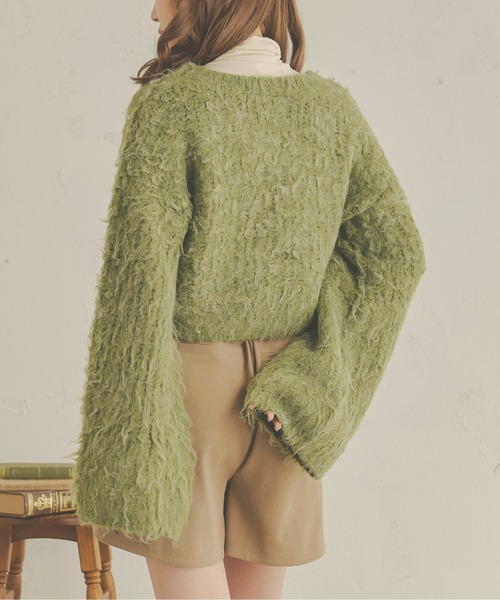 Ambre Neige(アンブルネージュ)の「メランジシャギーフレアニット/【WEB/EC限定商品】(ニット/セーター・レディース・ダークブラウン/ライトグリーン/アイボリー/ライトブラウン・FREE)」の17枚目の写真