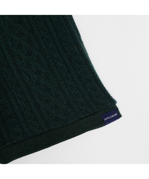 APPLEBUM（アップルバム）の「Zip Polo Shirt（ポロシャツ・メンズ・グリーン/ネイビー・MEDIUM/LARGE/X-LARGE）」の5枚目の写真