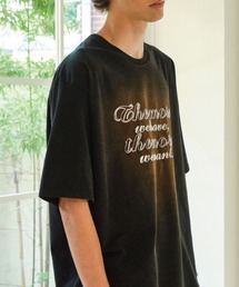 ALAND | DWS COMPANY／Faded T(Tシャツ/カットソー)