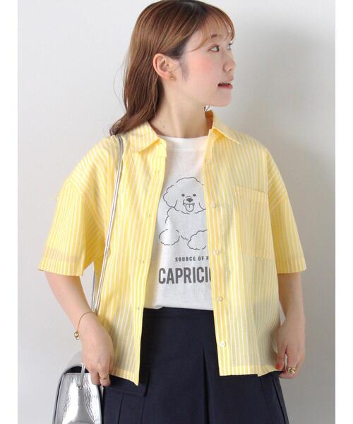 ehka sopo（エヘカソポ）の「バックドロストストライプシャツ（シャツ/ブラウス・レディース・サックスブルー/ピンク/イエロー/グリーン・F）」の3枚目の写真