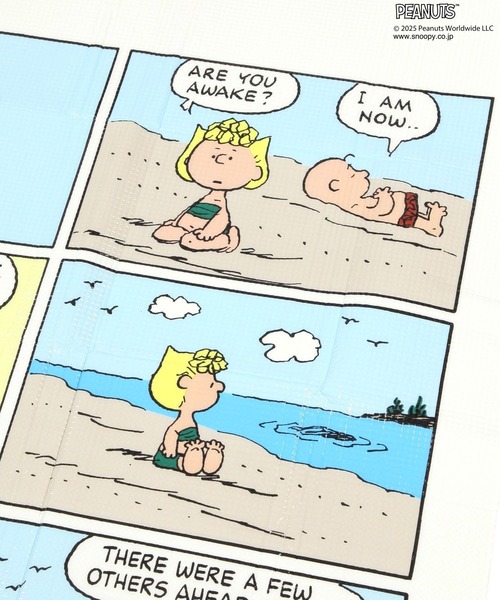 PEANUTS×BAYFLOW】レジャーシート90×120（アウトドアグッズ）｜PEANUTS