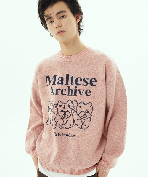 WaiKei(ワイケイ)の「マルチーズアーカイブライングラフィックニットピンク(ニット/セーター・レディース・その他・2/1)」の22枚目の写真