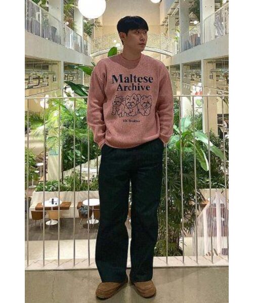 WaiKei(ワイケイ)の「マルチーズアーカイブライングラフィックニットピンク(ニット/セーター・レディース・その他・2/1)」の2枚目の写真
