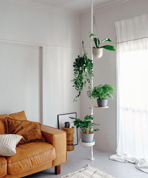 journal standard Furniture （ジャーナルスタンダードファニチャー）の「《WEB限定》【DRAW A LINE/ドローアライン】027 Tension Rod Pro　縦・横取付（収納グッズ）」