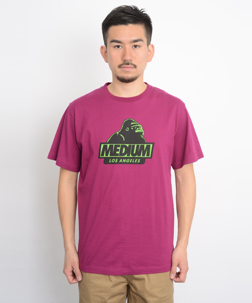 XLARGE(エクストララージ)の「S/S TEE OG(Tシャツ/カットソー・メンズ・オレンジ/グリーン/ネイビー/ホワイト/ブラック/パープル・SMALL/LARGE/X-LARGE/MEDIUM)」の10枚目の写真