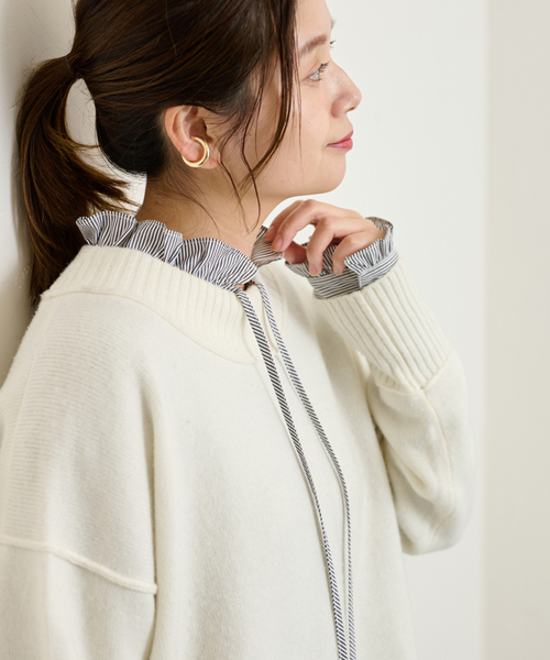 JOURNAL STANDARD（ジャーナルスタンダード）の「□《追加》ソフト