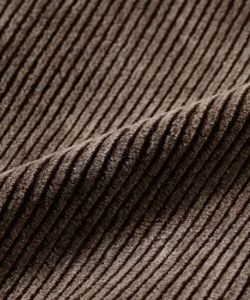 Ray BEAMS（レイビームス）の「コーデュロイ 5ポケット ワイド パンツ（その他パンツ・レディース・ダークブラウン/ライトブルー・0/1）」の9枚目の写真