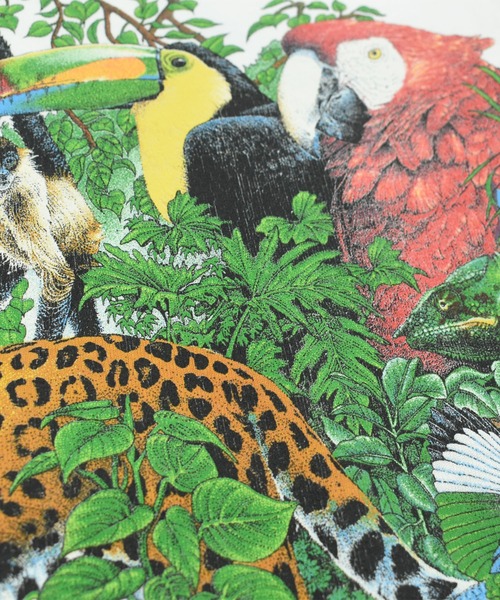 VINTAGE(ヴィンテージ)の「【USED】90’s SIGNAL SPORTS “RAINFOREST” アニマル Tシャツ USA製(Tシャツ/カットソー・メンズ・ホワイト・LARGE)」の9枚目の写真