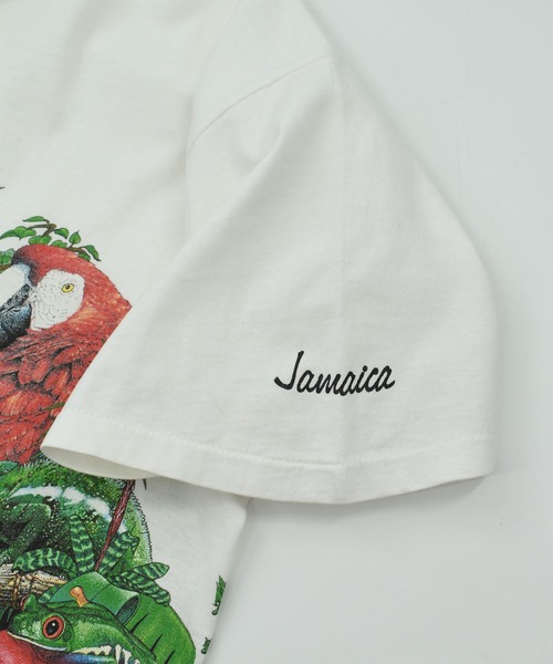 VINTAGE(ヴィンテージ)の「【USED】90’s SIGNAL SPORTS “RAINFOREST” アニマル Tシャツ USA製(Tシャツ/カットソー・メンズ・ホワイト・LARGE)」の5枚目の写真