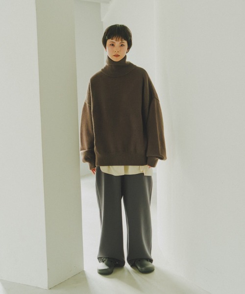 lit(リット)の「Dart Sleeve High Neck Knit(ニット/セーター・レディース・ベージュ/グレー/ダークブラウン・FREE)」の12枚目の写真