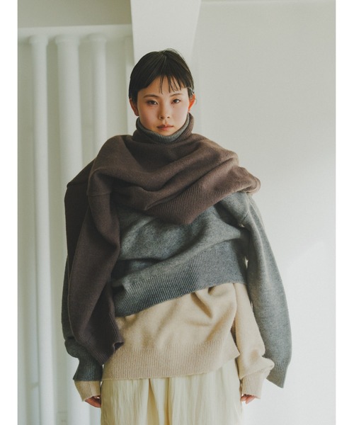 lit(リット)の「Dart Sleeve High Neck Knit(ニット/セーター・レディース・ベージュ/グレー/ダークブラウン・FREE)」の16枚目の写真