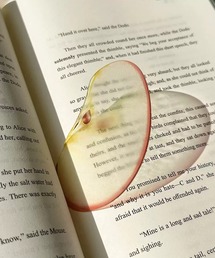 Vini（ヴィニ）の「フルーツ Bookmark 透明栞 しおり ブックマーカー（本）」