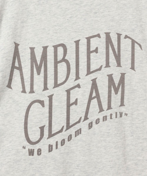 LEPSIM(レプシィム)の「アソートロゴプリントTSS 668866(Tシャツ/カットソー・レディース・オフホワイト/チャコールグレー・FREE)」の12枚目の写真