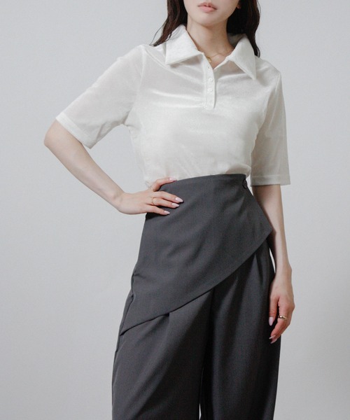 NYLAUS（ナイラス）の「【SG】シアーベロア トップス ポロシャツ 襟付き 半袖（その他トップス・レディース・ブラック/ブラウン/グレー/オフホワイト・M）」の6枚目の写真