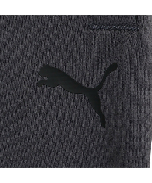 PUMA(プーマ)の「PUMA プーマ メンズ トレーニング ジョガーパンツ 2.0(その他パンツ・メンズ・グレー/ブラック×レッド・SMALL/MEDIUM/X-LARGE/LARGE/XX-LARGE)」の9枚目の写真