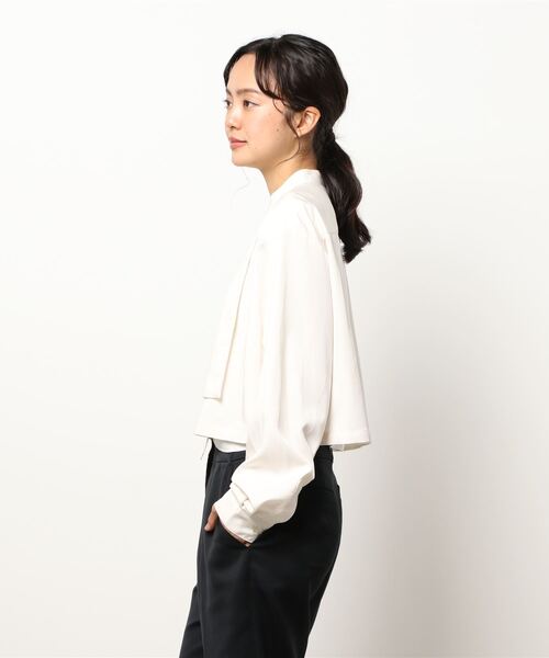 ReNorm（リノーム）の「レイヤードバンドカラーショートシャツ（シャツ/ブラウス・レディース・ブラウン/アイボリー・フリー）」の11枚目の写真