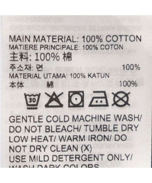 Reebok(リーボック)の「ノーマター ザ テスト Tシャツ / NO MATTER THE TEST GFX SS TEE(Tシャツ/カットソー・メンズ・ブルーグレー・X-SMALL/X-LARGE/SMALL/MEDIUM/LARGE/XX-LARGE)」の6枚目の写真