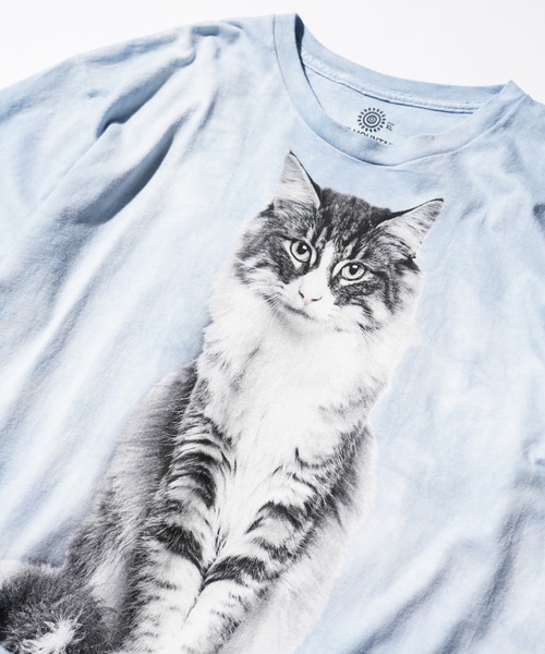 aiko 着 USA製 THE MOUNTAIN 犬プリント タイダイ Tシャツ THE