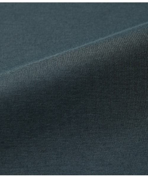 SIPULI（シプリ）の「［LOTUS］Urtla High Gauge Rib ボトルネックプルオーバー（Tシャツ/カットソー・レディース・アイボリー/イエロー系その他/ブルー・2）」の15枚目の写真