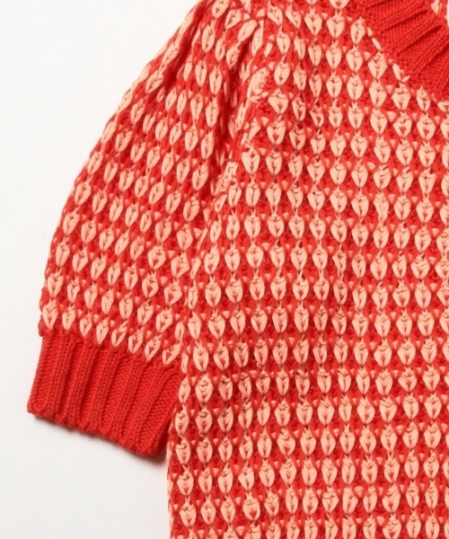Ray BEAMS(レイビームス)の「Ray BEAMS / 2トーン 柄編 クルーニット(ニット/セーター・レディース・レッド/ネイビー・ONE SIZE)」の8枚目の写真