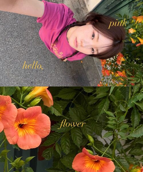 HELLO SUNRISE(ハローサンライズ)の「HS Sunrise Bloom Tee_Magenta Pink(Tシャツ/カットソー・レディース・ピンク・SMALL/MEDIUM/LARGE)」の4枚目の写真