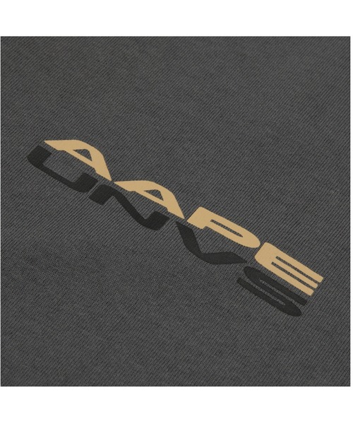 AAPE BY A BATHING APE（エーエイプバイアベイシングエイプ）の「AAPE THEME MAIN TEE（Tシャツ/カットソー・メンズ・グレー系その他2・MEDIUM/LARGE）」の4枚目の写真