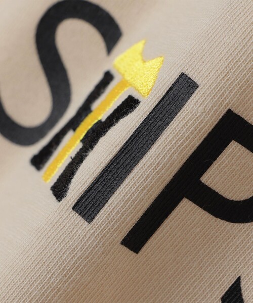 SHIPS(シップス)の「SHIPS: 阪神タイガース×SHIPS カラーロゴ リンガーTシャツ(Tシャツ/カットソー・メンズ・ライトブルー/ナチュラル/ブラウン・SMALL/MEDIUM/LARGE/X-LARGE)」の10枚目の写真