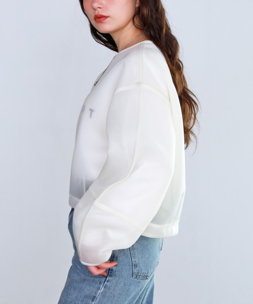 shetila(シェティラ)の「シアーニュアンスダンボール ショートプルオーバー(Tシャツ/カットソー・レディース・イエロー/ピンク/アイボリー/ブルー/グリーン/ブラック/グレー・F)」の10枚目の写真