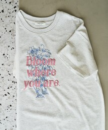 FREAK'S STORE(t[NXXgA)̌WJ@t[vg×bloom hJ  TVc(TVc/Jbg\[)
