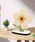 ammy.iGC~[hbgj́uy ammy. / GC~[hbg z ؍CeA t[ uviuvjvbzCg