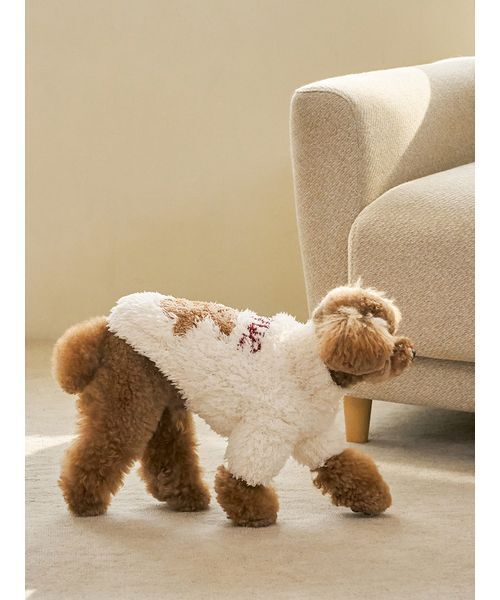 gelato pique（ジェラートピケ）の「【HOLIDAY】【CAT&DOG】ジェラートスノーベアジャガードプルオーバー（ペットウェア・レディース・アイボリー/ネイビー・L/M/S）」の5枚目の写真