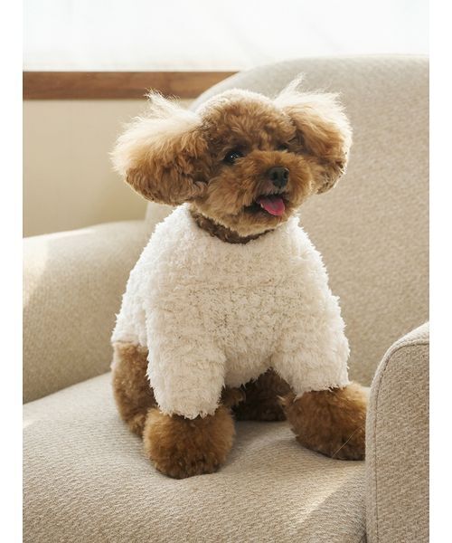 gelato pique（ジェラートピケ）の「【HOLIDAY】【CAT&DOG】ジェラートスノーベアジャガードプルオーバー（ペットウェア・レディース・アイボリー/ネイビー・L/M/S）」の6枚目の写真