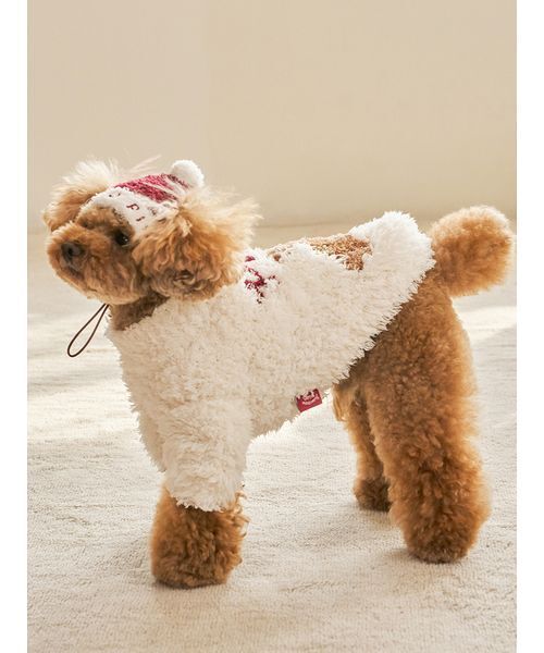 HOLIDAY】【CAT&DOG】ジェラートスノーベアジャガードプルオーバー