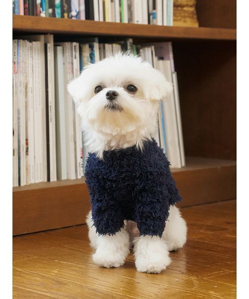 gelato pique（ジェラートピケ）の「【HOLIDAY】【CAT&DOG】ジェラートスノーベアジャガードプルオーバー（ペットウェア・レディース・アイボリー/ネイビー・L/M/S）」の9枚目の写真