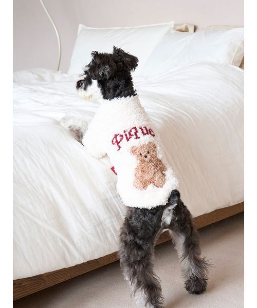 セール】【HOLIDAY】【CAT&DOG】ジェラートスノーベアジャガードプル