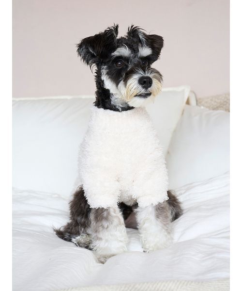 HOLIDAY】【CAT&DOG】ジェラートスノーベアジャガードプルオーバー