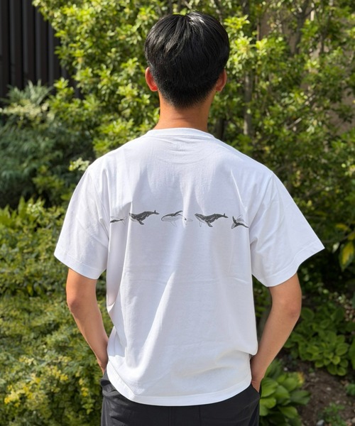 HELLY HANSEN(ヘリーハンセン)の「【HELLY HANSEN】S/S Around Tee(Tシャツ/カットソー・メンズ・ホワイト/ネイビー・MEDIUM/LARGE/X-LARGE)」の10枚目の写真