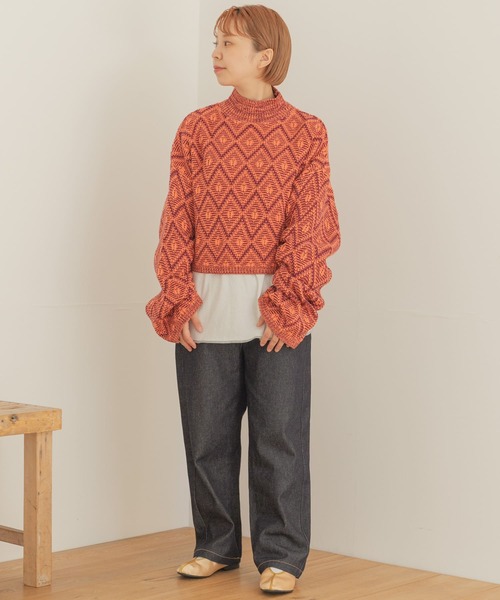 ITEMS URBANRESEARCH（アイテムズ アーバンリサーチ）の「ラーベンアミハイネックニット（ニット/セーター・レディース・ボルドー/ベージュ/ブラック・FREE）」の12枚目の写真